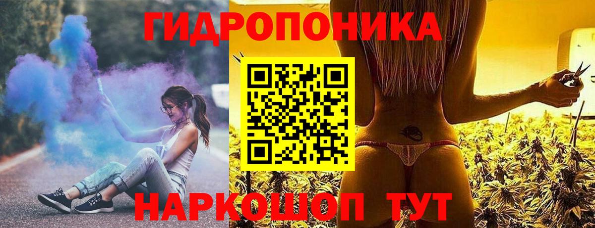 Конопля сатива Татарск